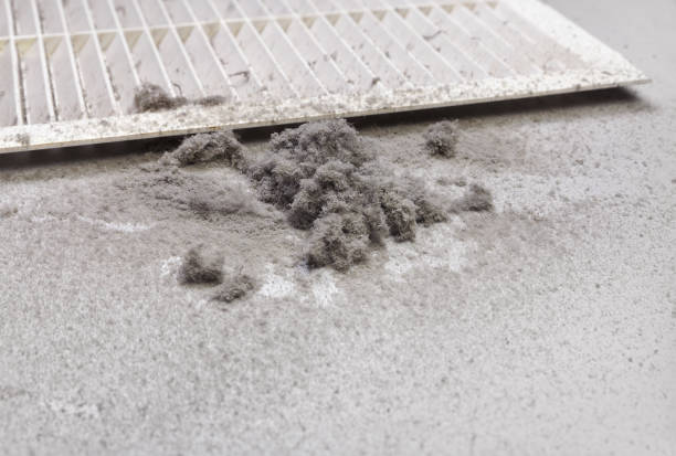 Best Air Duct Cleaning Near Me  in South Rockwood, MI