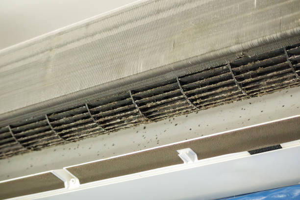 Best HVAC Maintenance and Cleaning  in South Rockwood, MI