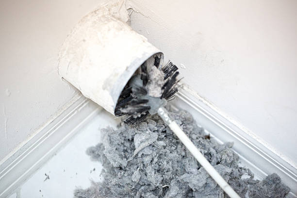 Best Air Duct Cleaning Company Near Me  in South Rockwood, MI